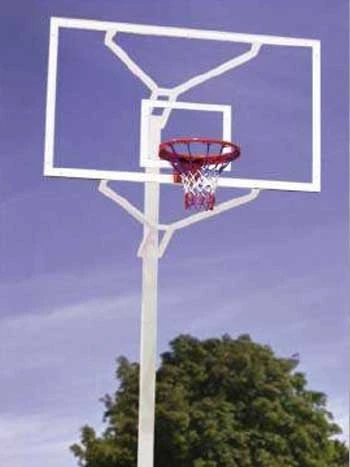 Basket Potası