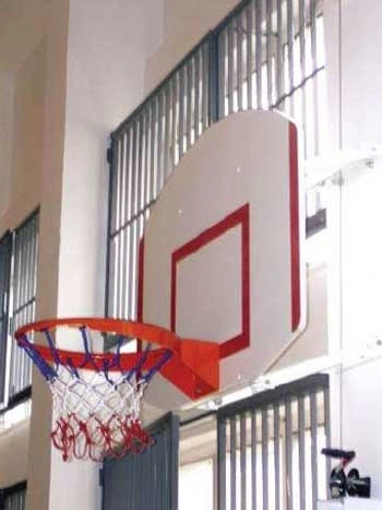 Basket Potası