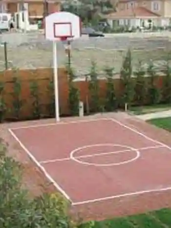 Basket Potası ve Basket Sahası
