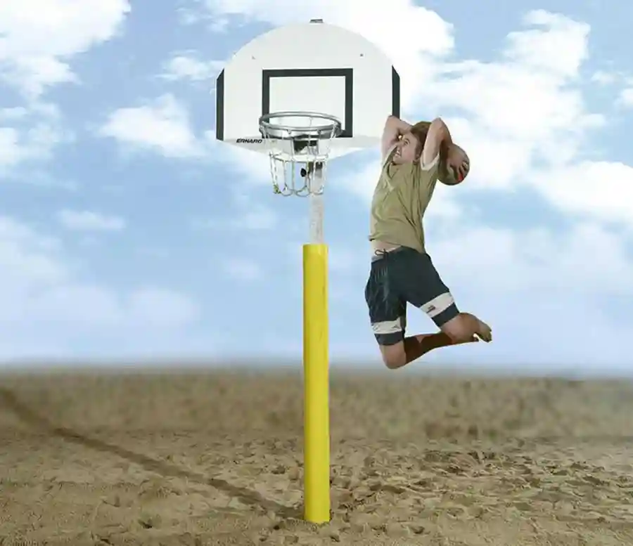 Basket Potası