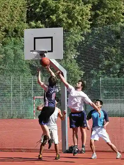 Basket Potası