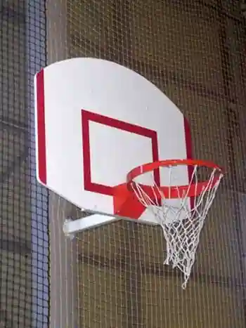 Basket Potası
