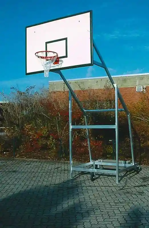 Basket Potası