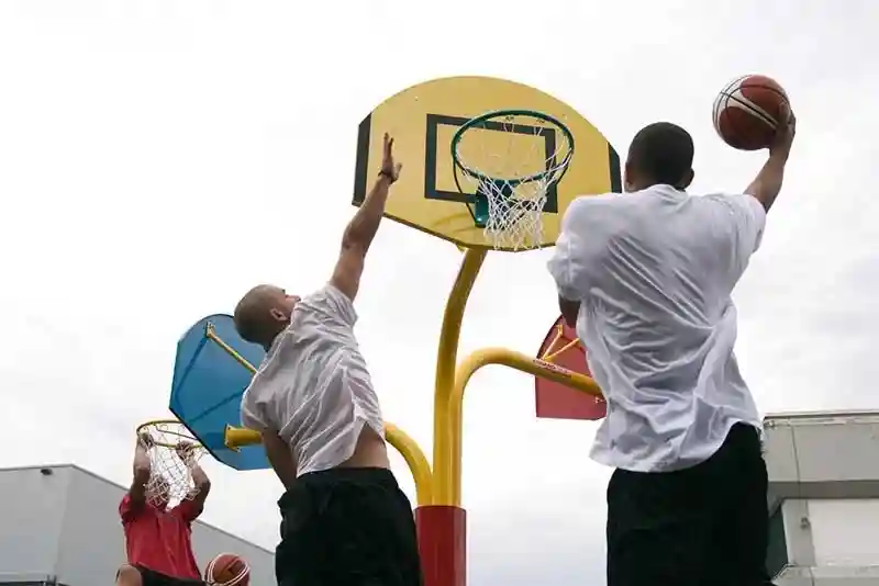 Basket Potası