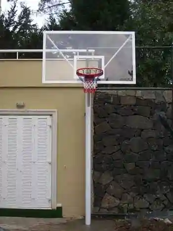 Basket Potası