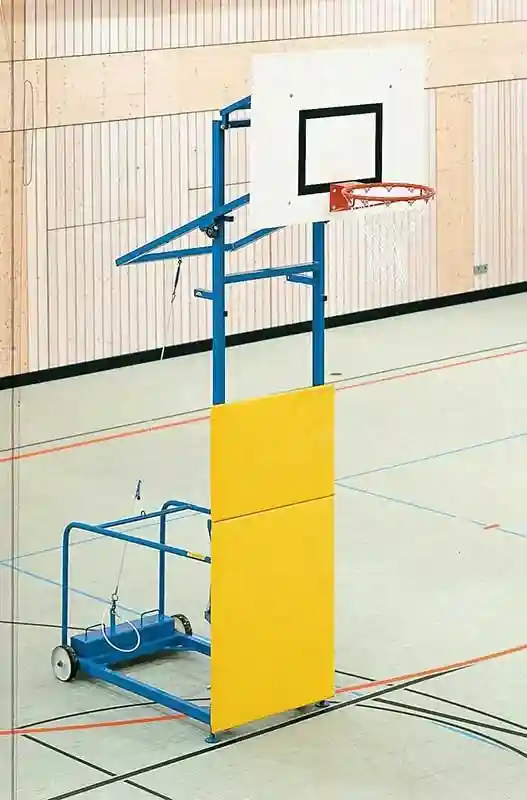 Basket Potası