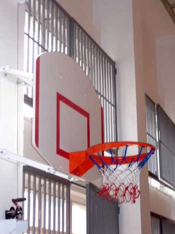 Basket Potası