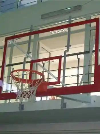 Basket Potası
