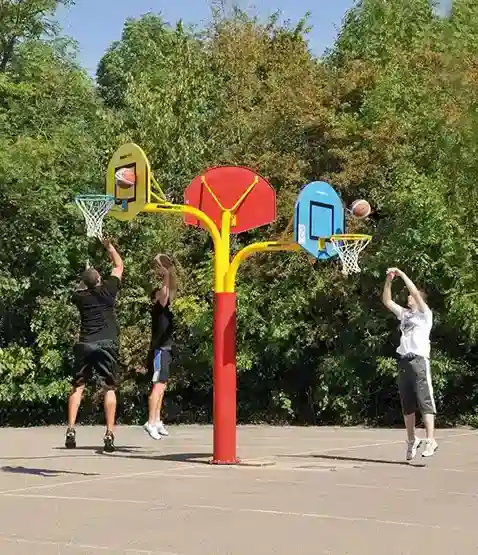 Basket Potası
